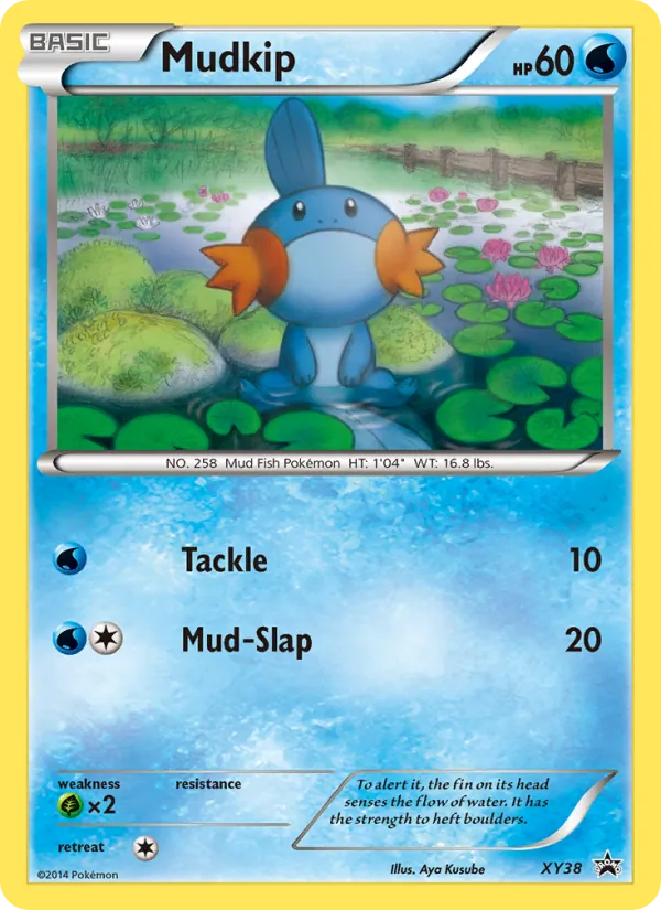 Carta Mudkip