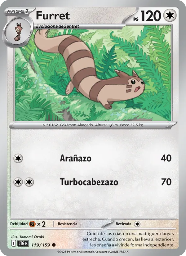 Carta Furret