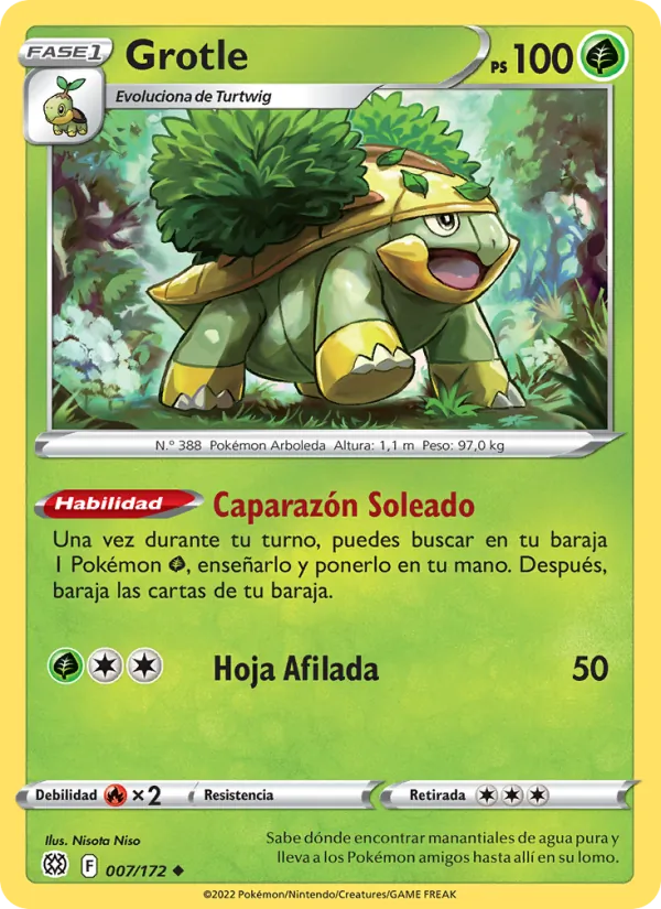 Carta Grotle