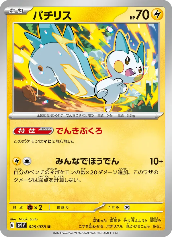 Carta パチリス