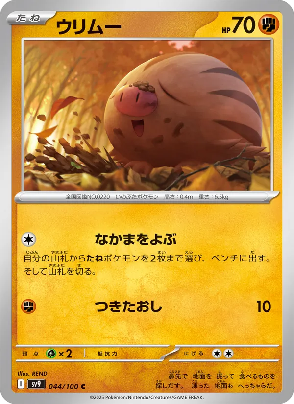 Carta 小山豬