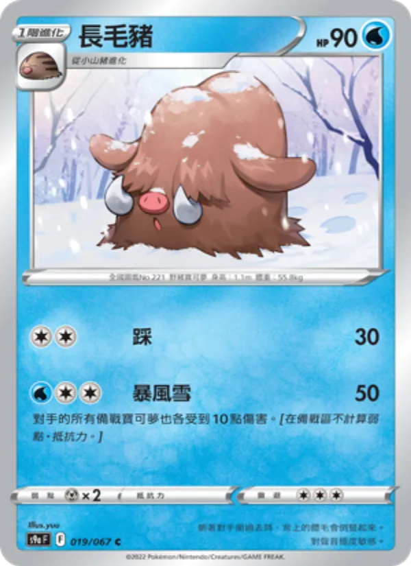 Carta 長毛豬